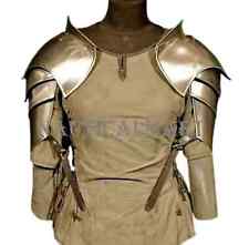 Medieval Shoulder Armor Knight Pauldron Pair Knights Larp Gorget Steel 18 gauge picture