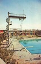 Houston TX Texas, Shamrock Hilton Hotel Pool Advertising, Vintage Postcard picture