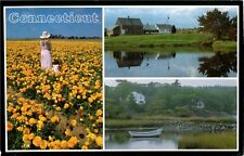 Postcard Chrome Connecticut Countryside Multi-view Flowers Boat House PC936 picture