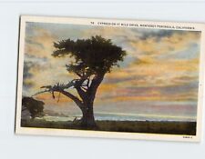 Postcard Cypress on 17 Mile Drive Monterey Peninsula California USA picture