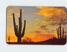 Postcard A Desert Sunset picture