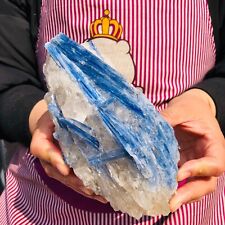 3.3LB Natural Blue Crystal Kyanite Rough Gem mineral Specimen Healing 598 picture