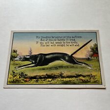 Schmidt Bros Greyhound Dog Postcard with Spring Tail picture