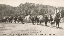 c1910 Line Up Horses String Rider Valley Ranch New Mexico P394 picture