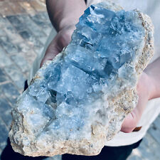 2.84 Natural Raw Blue Celestite Crystal Quartz Cluster Geode Specimen Home Decor picture