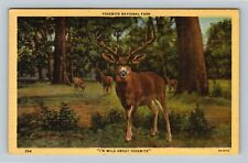 Yosemite National Park CA Deer Wild About Yosemite California Vintage Postcard picture