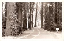 RPPC View On The Redwood Highway CA Rare Stephens Grove Signs c1940 Postcard B48 picture