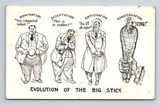 c1908 President Taft Political Cartoon Comic Evolution of the Big Stick Postcard picture