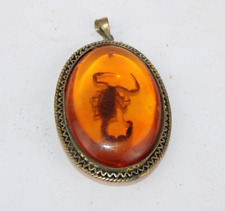 RARE ANCIENT EGYPTIAN ANTIQUE Scorpion Amber Pendant Necklace (A+) picture