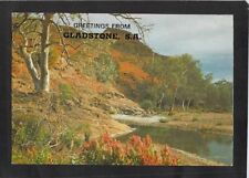 A0334 Australia SA Mt Chambers Creek Gladstone greetings Pitt FR70 c1979 postcar picture