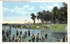 Bathing Beach on Island Harrisburg Pennsylvania PA vintage swim suits 1920s picture