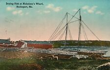 Bucksport ME-Maine, 1923 Drying Fish at Nicholson's Wharf, Vintage Postcard picture
