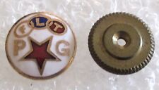 Vintage Independent Order of Odd Fellows Past Grand PG Lapel Pin - IOOF picture