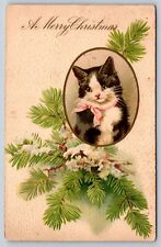 A Merry Christmas Kitten Cat Pink Ribbon Embossed Postcard 1906 picture