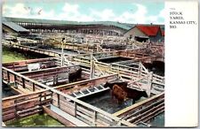 1910's Stockyards Kansas City Missouri MO Cattle Raising Posted Postcard picture