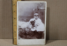 Antique Cabinet Card Photograph Girl Pug ? Dog C4 picture