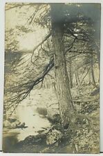 RPPC Rustic Woods Creek Stream Real Photo Postcard H3 picture