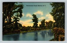 Batavia NY-New York, Tonawanda Creek, Scenic View, Vintage Postcard picture