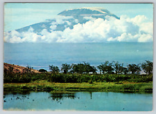 c1970s Mount Kilimanjaro View Vintage Postcard picture