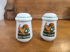 Vintage WV Ceramic Salt & Pepper Shakers Deer and Mountains c1980s picture