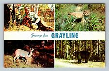 Grayling MI-Michigan Banner Greetings, Hunter, Bear Deer Bobcat Vintage Postcard picture