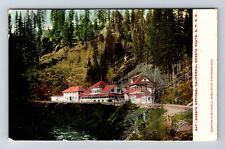 Shasta Springs CA-California, Shasta Route, Antique, Vintage Postcard picture