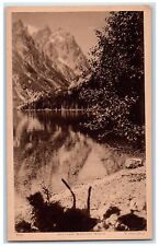 c1905s Jenny Lake Beach And Tetons Grand Teton National Park WY Trees Postcard picture