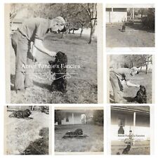 6 Vintage Dog Photos Black Cocker Spaniel Man Woman Rural House Originals picture