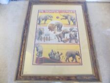 Framed & Matted Adolph Friedlander Circus Lithograph Elephants--FREE SHIPPING picture