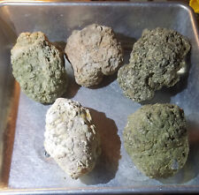 (Each 1-lb LOT) = (4 to 5 Uncut Whole Thundereggs Rough) Crystal (FREE SHIPPING) picture