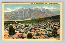 CA-California, Mount San Jacinto From Devil's Garden, Antique, Vintage Postcard picture