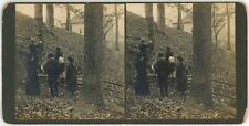 c1900's Real Photo Stereoview Group of People Extracting Maple Syrup in Forest picture