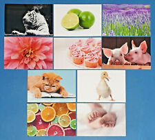 set of 10 NEW Mixed Postcards great for Postcrossing & Postcardsofkindness set 3 picture