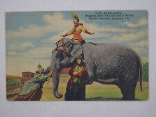 c1958 Linen Teich Postcard Ringling Brothers Circus Sarasota FL Unposted USA picture