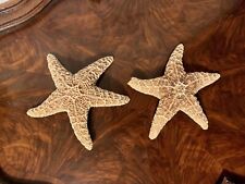 Two (2) Genuine Sugar Starfish Beach Wedding Decor Nautical Crafts Coastal Art picture