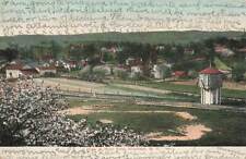 c1910  Birds Eye View West Side Westfield NY Germany P221 picture