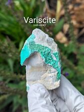 Variscite Drusy Old Stock Ex Henry De Linde Crystal Mineral Specimen Arkansas picture