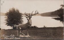 RPPC Winnekenni Park Haverhill MA Kenoza Lake Elk Statue Antlers 1908 Postcard picture