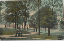 Delaware OH-Ohio, Campus View, Ohio Wesleyan University Unused Postcard #442 picture
