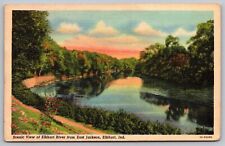 Elkhart River East Jackson Indiana Reflections Flowers Forest Vintage Postcard picture