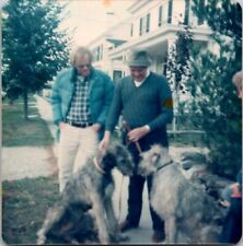 Found Photo, 1980s?, Two Men and Two Wolfhounds (?),  Saco, Maine 3x3 picture