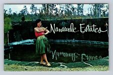 Bakersfield CA-California, Nanawale Estates Entrance, Antique, Vintage Postcard picture