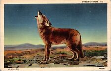 Howling Coyote~Posted 1941~Old Albuquerque,New Mexico~KA16 picture