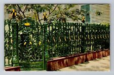 New Orleans LA- Louisiana, Cornstalk Fence, Antique, Vintage Souvenir Postcard picture