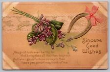 Sincere Good Wishes Horseshoe Antique Embellished Postcard PM Cancel WOB DB 1c picture