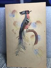 Pretty c1910's Bird w/ Real Feathers & Hand Painted Mexican Folk Art 5.75 