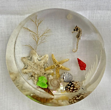 Vintage Acrylic Lucite Paperweight Seahorse Shells Ocean Beach Starfish picture
