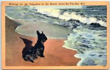 Postcard - Waiting for my Pal here at the Beach, Avon By-The-Sea, New Jersey picture