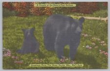 Animal~Greetings From The Great Smoky Mts~Black Bears~PM 1953~Vintage Postcard picture