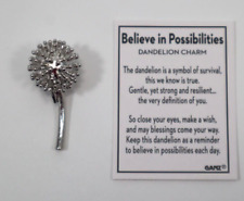 R1 Believe in Possibilities Dandelion Charm pocket figurine miniature Ganz picture